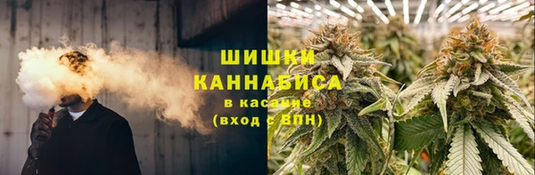 СК Дмитриев