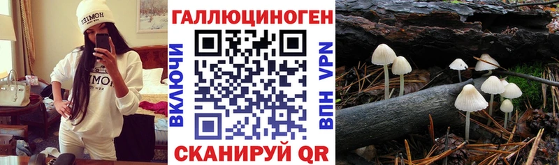 гидра ссылка  Обоянь  Псилоцибиновые грибы Cubensis 